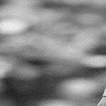 kenny-dalglish-timeline-cover kenny-dalglish-timeline-cover