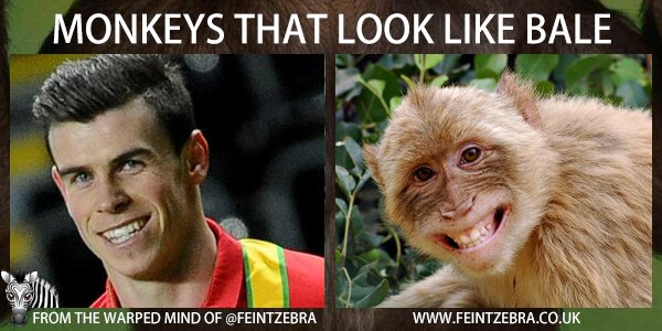 monkeys-that-look-like-bale-01.jpg